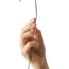 Online Papirblomst Cherry Fluff 37 cm, Grøn Stue