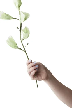 Studio About Stue > Papirblomst Tinkerbell 55 cm,