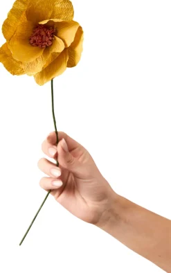 Studio About Stue > Papirblomst Windflower 43 cm,