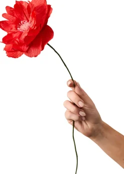 Hot Studio About Papirblomst Oriental Poppy 43 cm, Blå