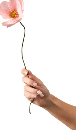 Studio About Stue > Papirblomst Windflower 43 cm,