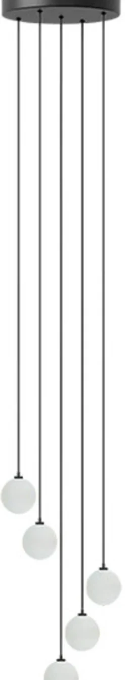 Clearance Rosette Baldakin m. 5 Ledninger G4, Sort Fatninger Og Ophænge