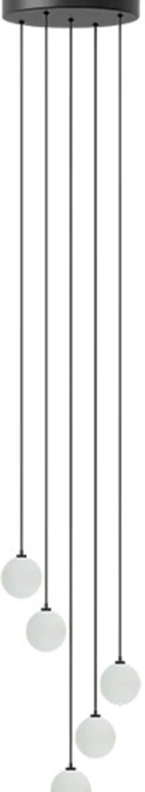 Clearance Rosette Baldakin m. 5 Ledninger G4, Sort Fatninger Og Ophænge