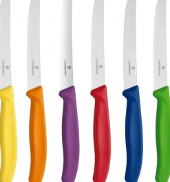 Best Victorinox Swiss Classic Knivsæt 6 Dele. 11 cm, Farvede