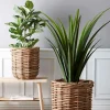 Hot Villa Collection Vida Planteskjuler 2 stk, Naturrattan