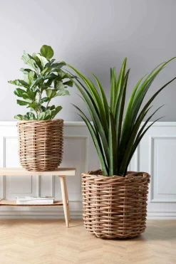 Hot Villa Collection Vida Planteskjuler 2 stk, Naturrattan