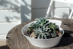 Villeroy & Boch Skåle|Spisestue > NewWave Salatskål , Hvid