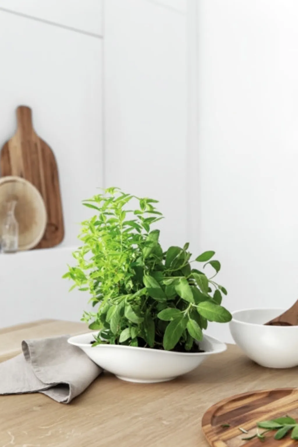 Villeroy & Boch Salt Og Peber|Salt Og Peber > Vapiano Pastaskål 2 stk. 28x21 cm, Hvid