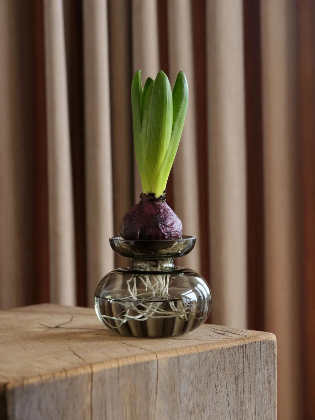 Zone Denmark Stue|Vaser > Inu Vase H,