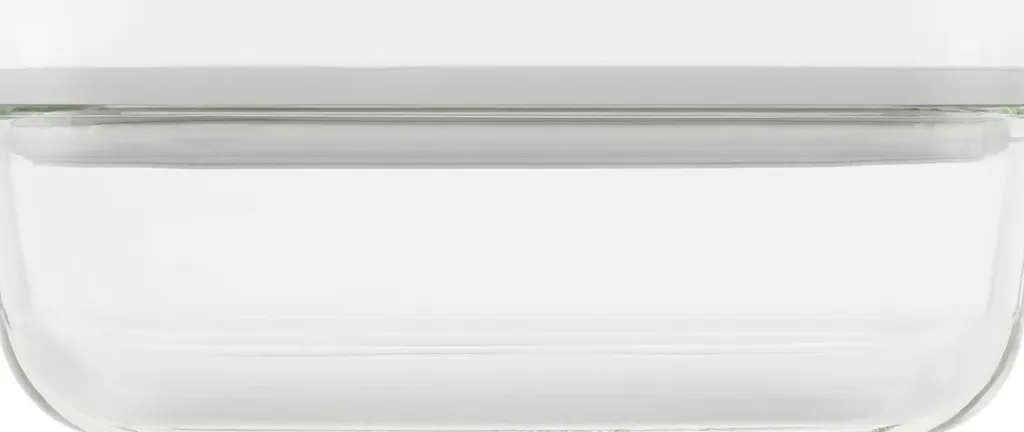 Zwilling Vakuumpakkere Og Tilbehør|Opbevaring Til Køkkenet > Fresh & Save Vakuumboks S/350 ml,